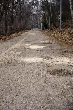 Winding road in a park with bare trees covering and bordering it on a mount.. Stock Photos
