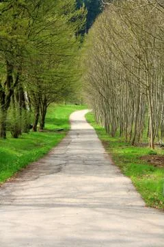 Winding road in park in spring as background Stock Photos