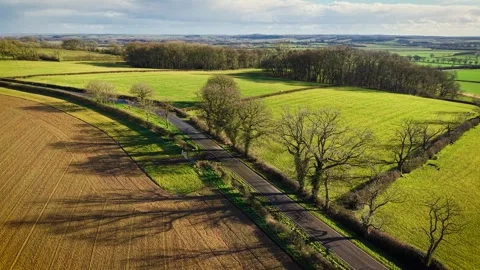 Winding road passing through open fields with trees creating intricate shadows Stock Footage 309626054