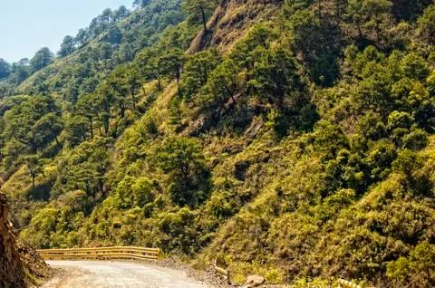 Winding road Stock Photos