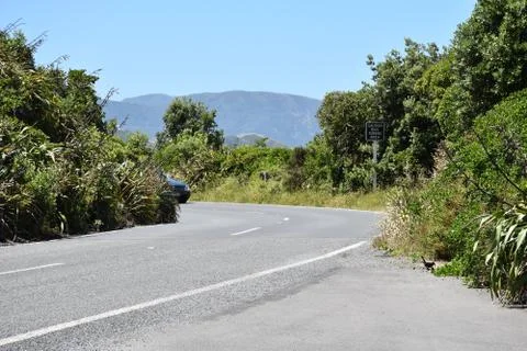 Winding Road Stockfoto's