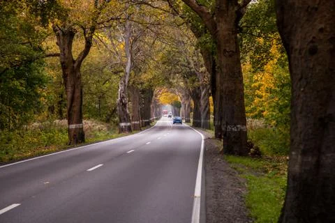 Winding road Stock Photos