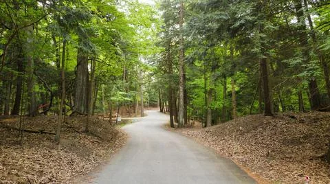 Winding Road Stock Photos