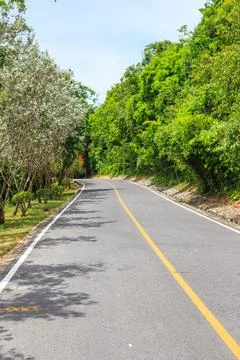 Winding road. Stock Photos