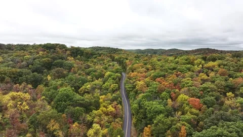 A winding road on rolling hills in the fall time on a cloudy/overcast day. Stock Footage 253054552