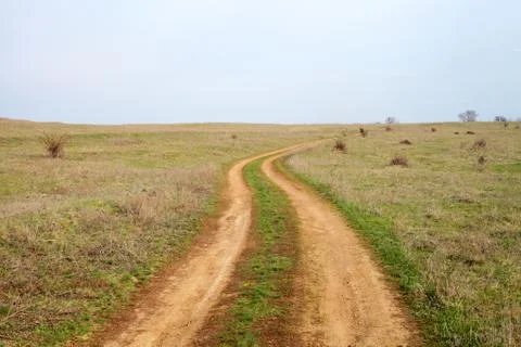 Winding road in a spring field Stock Photos