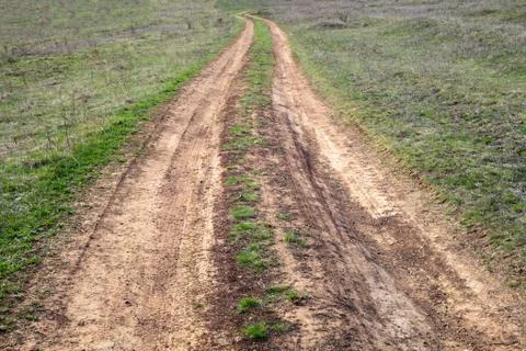 Winding road in a spring field Stock Photos