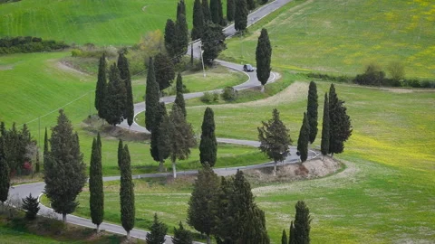 Winding road surrounded by cypresses trees. Tuscany, Italy. Video stock 152769420