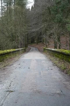 Winding Road Through Bare Forest With Mossy Walls At Derwent Dam, Peak District Stock Photos