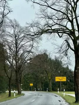 Winding Road Through Bare Winter Trees Stock Photos
