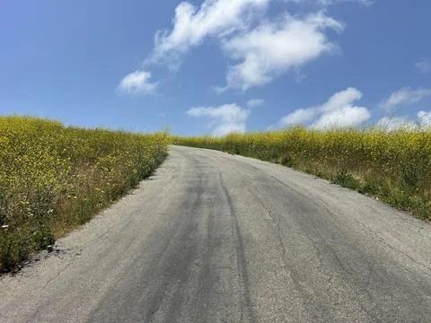 Winding Road Through Blooming Fields Under a Bright Blue Sky Stock Photos