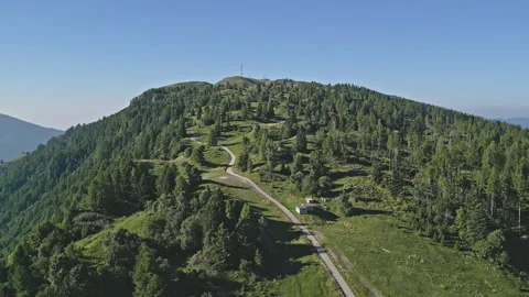 Winding road through conifer slopes on Nevegal ridge, Belluno Stock Footage 318777860