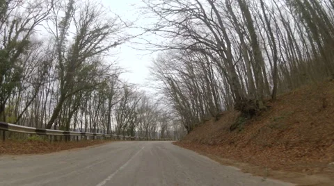 Winding road through forest in autumn, GoPro Stock Footage 59439617