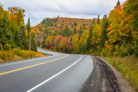 Winding Road Through a Forest of Fall Color - Ontario, Canada Stock Photos