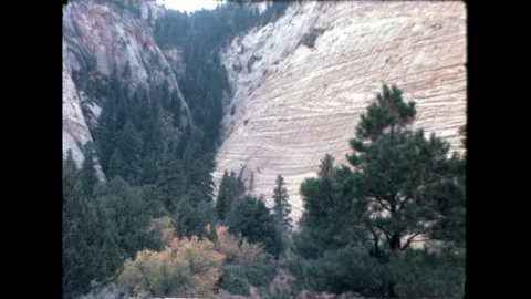 Winding Road Through Forest Stock Footage 276291786