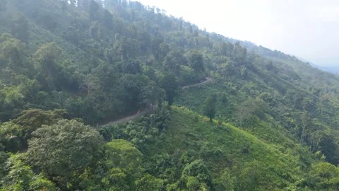 Winding Road Through Forest Hills Assam India 動画素材 333605713