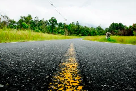 Winding Road Through a Forest Stock Photos