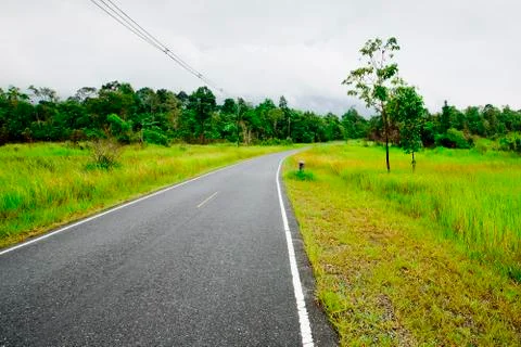 Winding Road Through a Forest Stock Photos