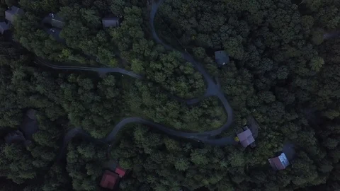 Winding Road through Green Forest Trees Stock Footage 119832520