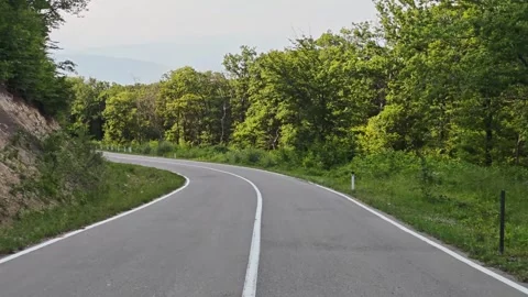 Winding road through green forest in spring Stock-Footage 315361422