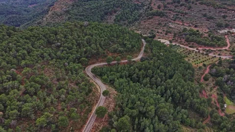 Winding road through green forest in rural Spain in daytime Stock Footage 327641573