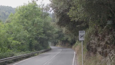 Winding road through green forest in Basque Country Stock-Footage 344269498