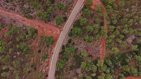 Winding road through green trees in rural Spain Stock Footage 327641655