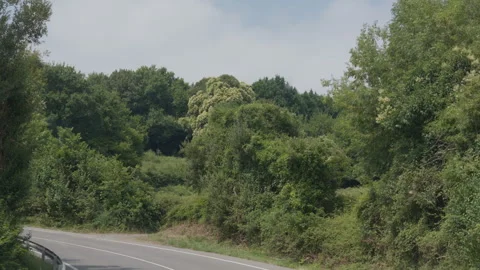 Winding road through lush Basque Country vegetation Stock-Footage 344266454