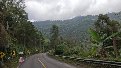 Winding Road Through Lush Forest 動画素材 297446640