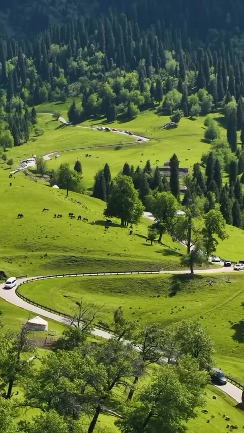 Winding Road Through Lush Green Alpine Valley 库存影片 340868906