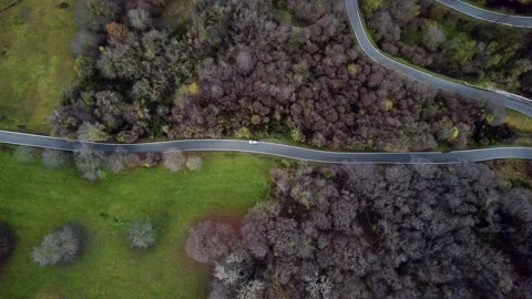 Winding road through the mountains. Stock Footage 168501267