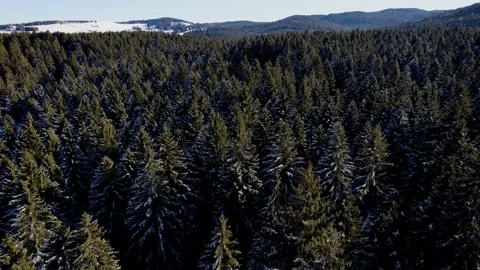 Winding road through the mountains. Stock Footage 168501709