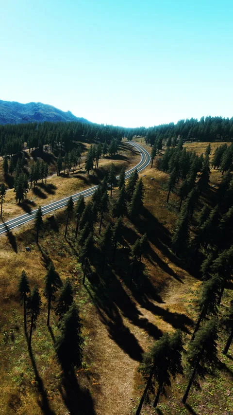Winding road through pine forest near mountains on a sunny day Stock Footage 346678380