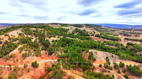 Winding road through red clay hills and pine forest Stock Footage 330492802