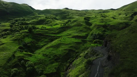 Winding Road Through Rolling Hills of Lush Green Pasture in Expansive Rural Stock Footage 268454872