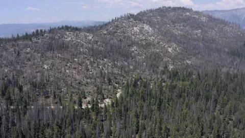 Winding Road Through Sequoia National Forest Drone View California 库存影片 335318504