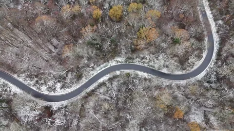 Winding Road Through a Snow-Dusted Forest Vídeos de archivo 327978923