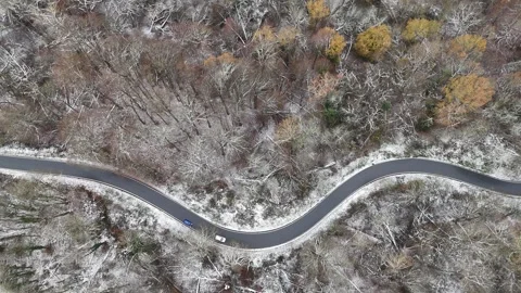 Winding Road Through Snow-Dusted Autumn Forest Video stock 327979135