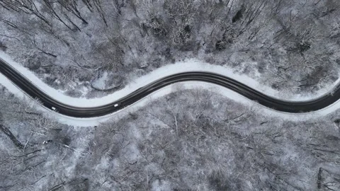 Winding Road Through Snow-Dusted Autumn Forest Vídeos de archivo 327979898