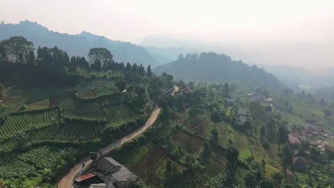 Winding Road through Steep Mountain Terraces and Plantations Vídeos de archivo 340633811
