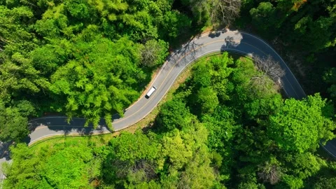 A winding road through tropical rainforest with a moving car. Stock Footage 333355582