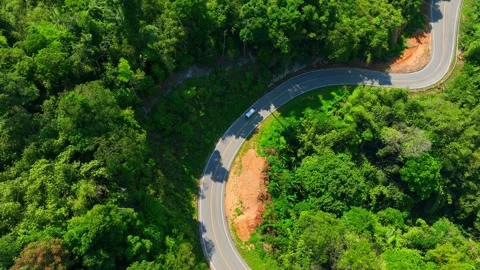 A winding road through tropical rainforest with a moving car. Video stock 333355594