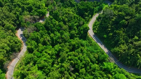 A winding road through tropical rainforest with a moving car. 스톡 동영상 333355603