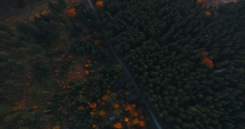 A winding road through the woods Stock Footage 89652070