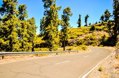 A winding road with trees in the background Foto stock