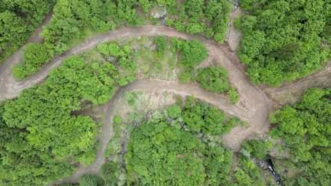 Winding road in trees Stock-Footage 156359626