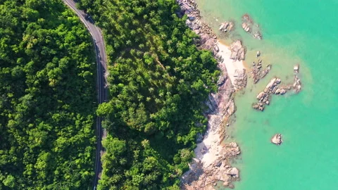 Winding road in tropical forest Stock Footage 138675376
