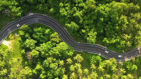 Winding road in tropical forest Stock Footage 138675740
