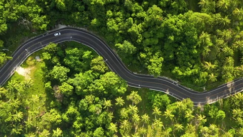 Winding road in tropical forest Stock Footage 138675813