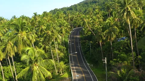 Winding road in tropical forest Stock Footage 138675987